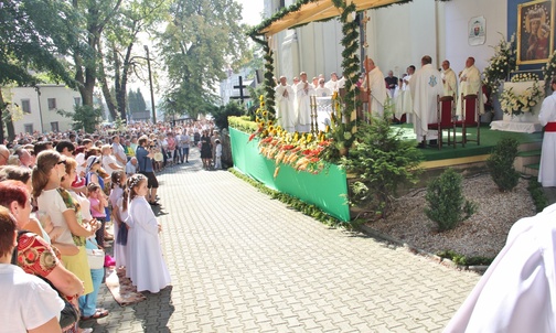 Królowa nad doliną Odry