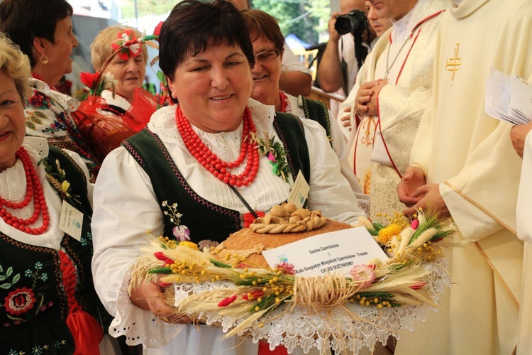 Dożynki w Żywcu AD 2016