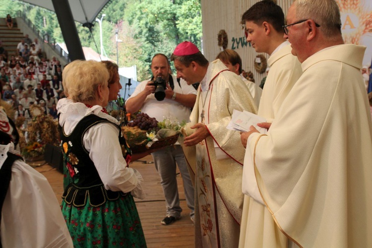 Dożynki w Żywcu AD 2016