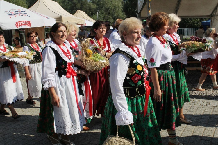 Dożynki w Żywcu AD 2016