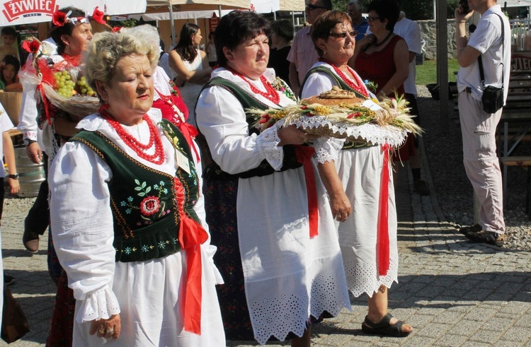 Dożynki w Żywcu AD 2016