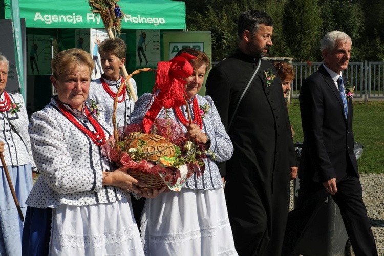 Dożynki w Żywcu AD 2016