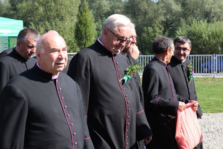 Dożynki w Żywcu AD 2016