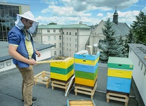 Ks. Tomasz Gałuszka na dachu konwiktu KUL w Lublinie, gdzie hodowane są pszczoły.