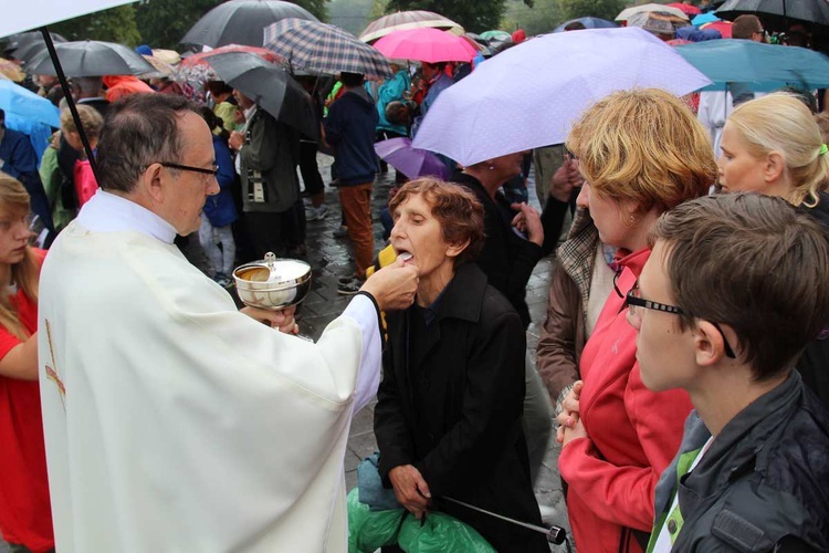 9. Diecezjalna Pielgrzymka Rodzin w Kalwarii Zebrzydowskiej - 2016