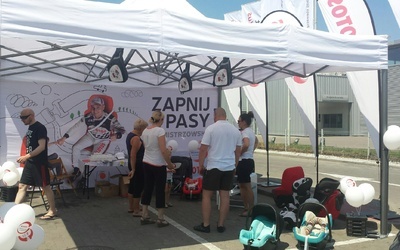 Zapnij pasy!