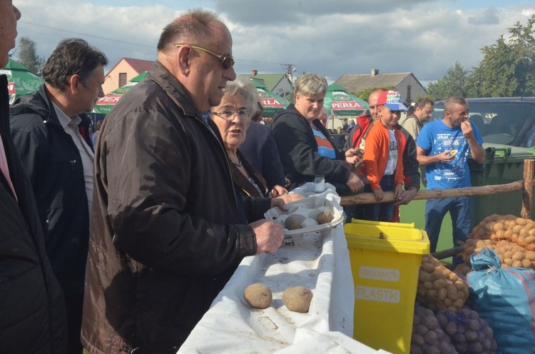 Święto pieczonego ziemniaka