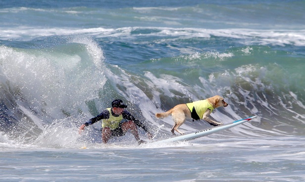 Psi surfing