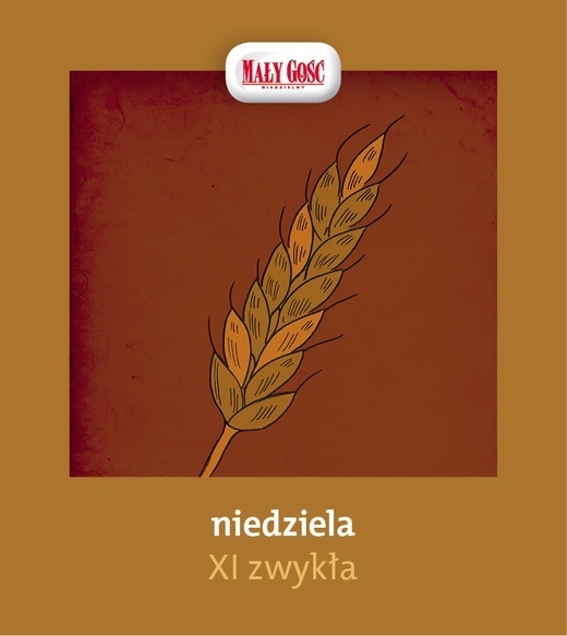 Słuchaj, idź, głoś