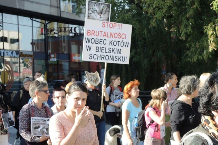 Koci konflikt w Bielsku-Białej