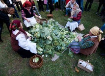 Obieraczki kapuściane