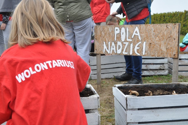 "Pola nadziei" w Darłowie