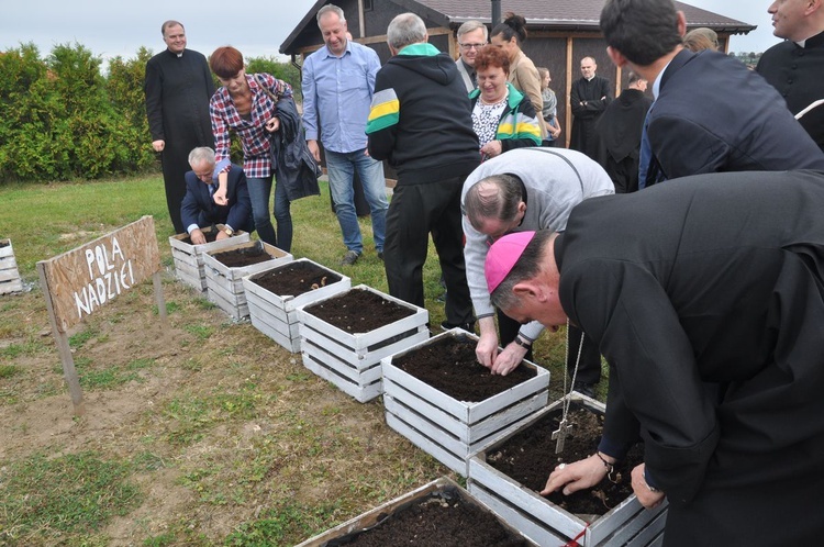 "Pola nadziei" w Darłowie