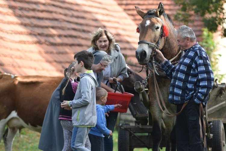 Uczcili wspomnienie św. Franciszka