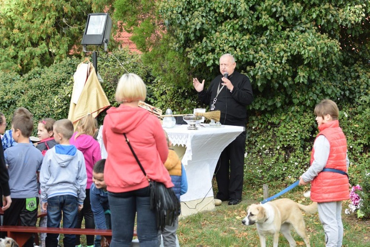 Uczcili wspomnienie św. Franciszka