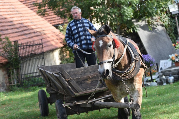 Uczcili wspomnienie św. Franciszka