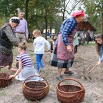 Festiwal Ziemniaka w radomskim skansenie