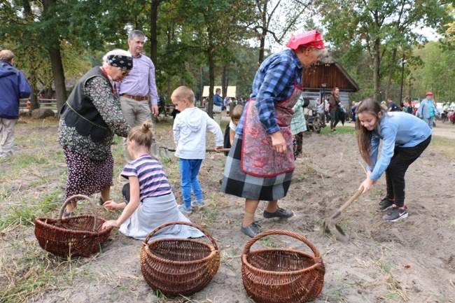 Festiwal Ziemniaka w radomskim skansenie