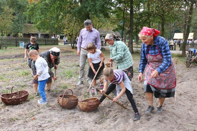 Festiwal Ziemniaka w radomskim skansenie