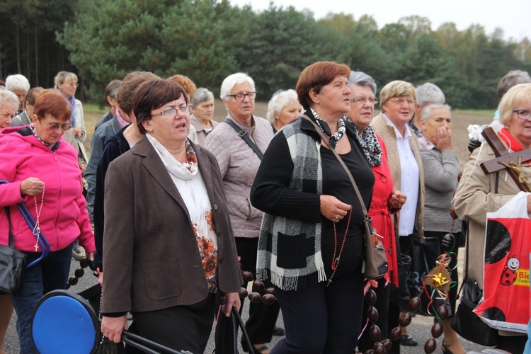 XII Pielgrzymka Kół Żywego Różańca do Domaniewic