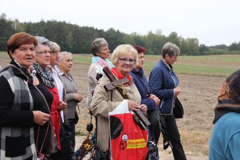 XII Pielgrzymka Kół Żywego Różańca do Domaniewic