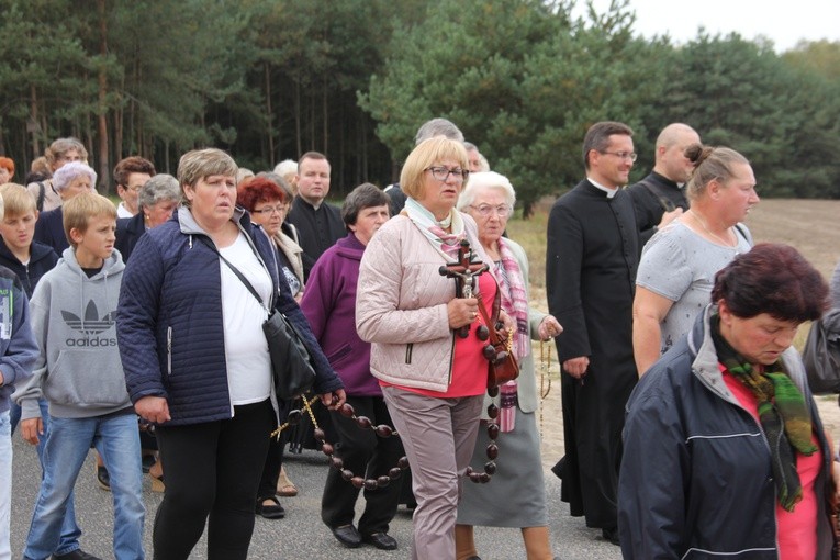 XII Pielgrzymka Kół Żywego Różańca do Domaniewic