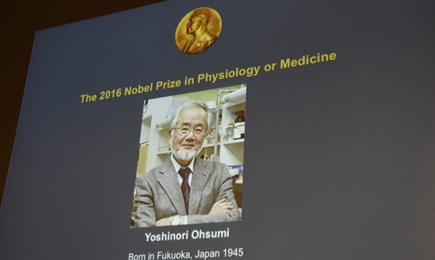 Nobel za odkrycie komórkowego serwisu sprzątającego