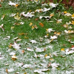 Pierwszy śnieg w Zakopanem 