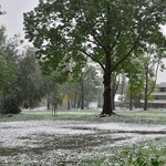 Pierwszy śnieg w Zakopanem 