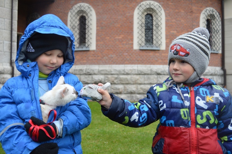 Czworonożne pupile przed kościołem 