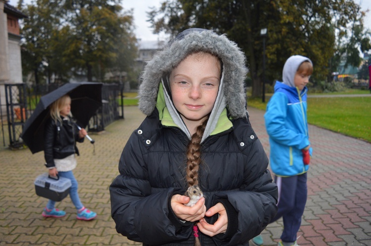 Czworonożne pupile przed kościołem 