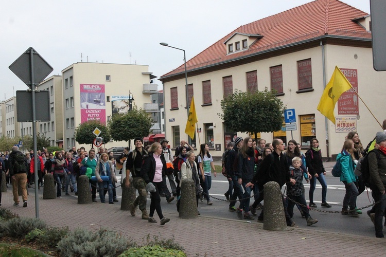 Pielgrzymka trzebnicka 11 - wejście