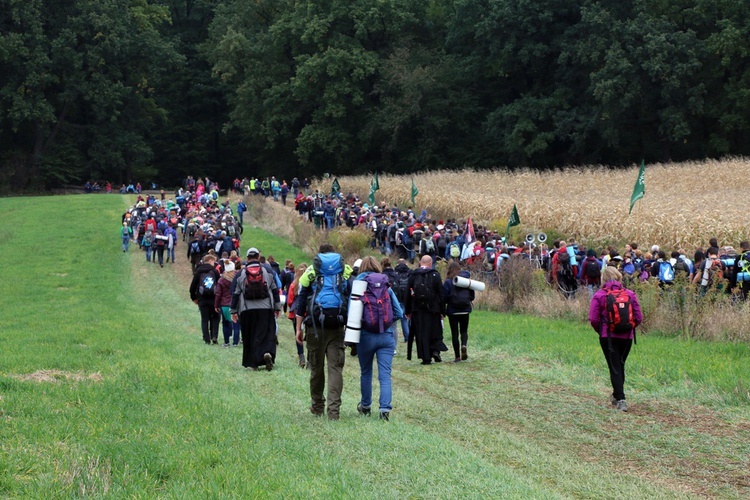 Pielgrzymka trzebnicka nr 10