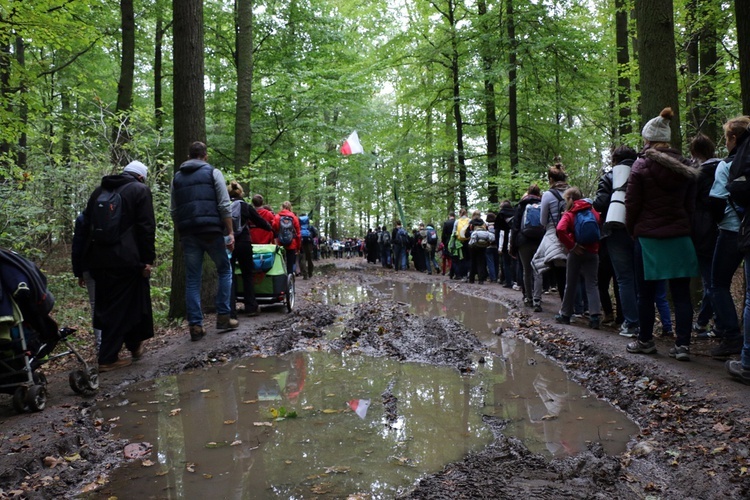 Pielgrzymka trzebnicka nr 10