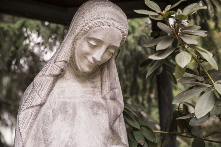 Dom Arcybiskupów Warszawskich