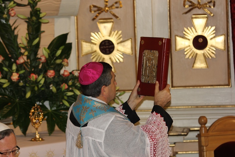 Powitanie ikony MB Częstochowskiej w Rawie Mazowieckiej