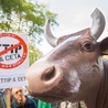 Przeciwko umowie CETA protestują nie tylko Polacy. Nie chcą jej  także Belgowie.