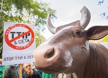 Przeciwko umowie CETA protestują nie tylko Polacy. Nie chcą jej  także Belgowie.