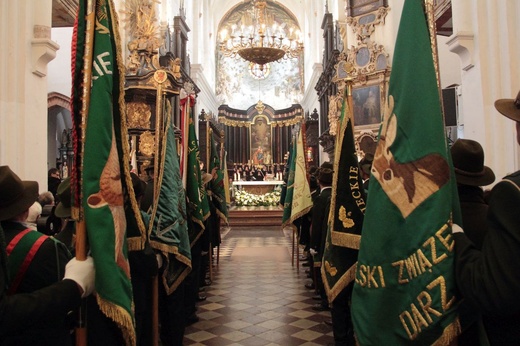 Hubertus w katedrze