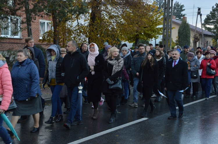 Powitanie ikony MB Częstochowskiej w Skierniewicach - Rawce