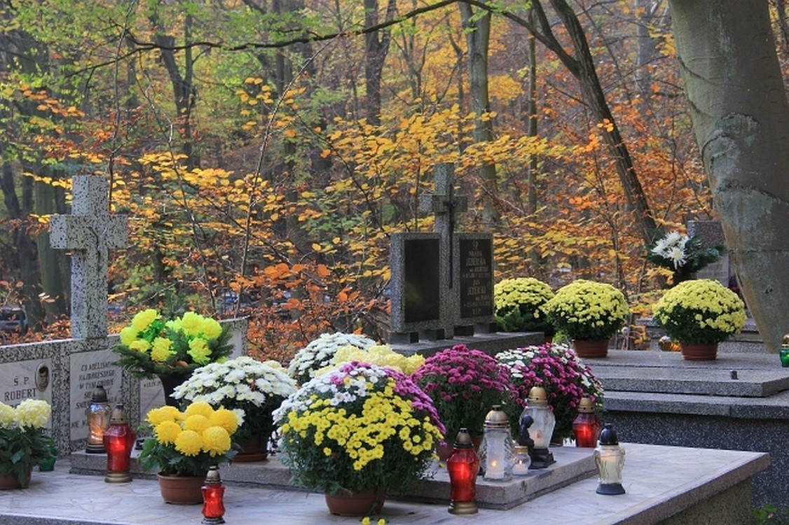 Jak dojechać na cmentarze? - gdansk.gosc.pl
