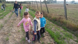Święto Pieczonego Ziemniaka