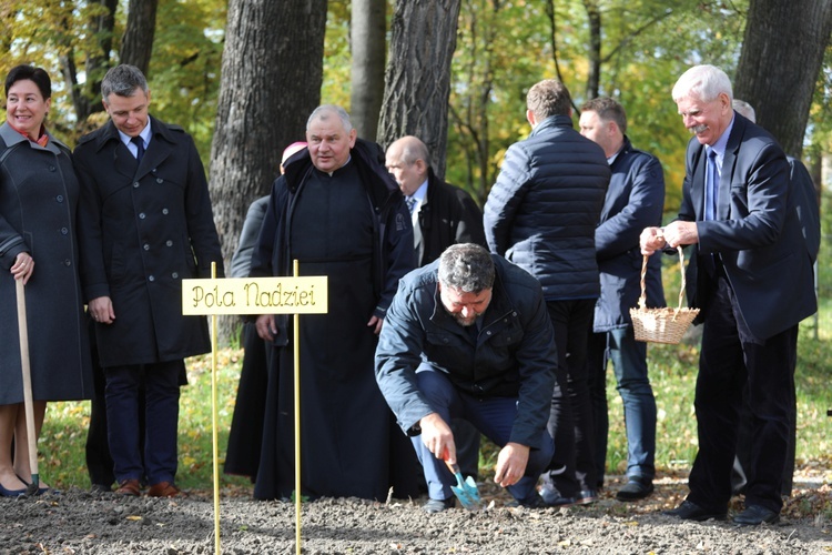 Inauguracja akcji Pola Nadziei 2016 w Bielsku-Białej