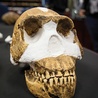 Homo naledi żył dwa miliony lat temu.