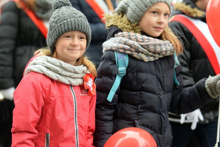 Marsz Niepodległości w Świdnicy