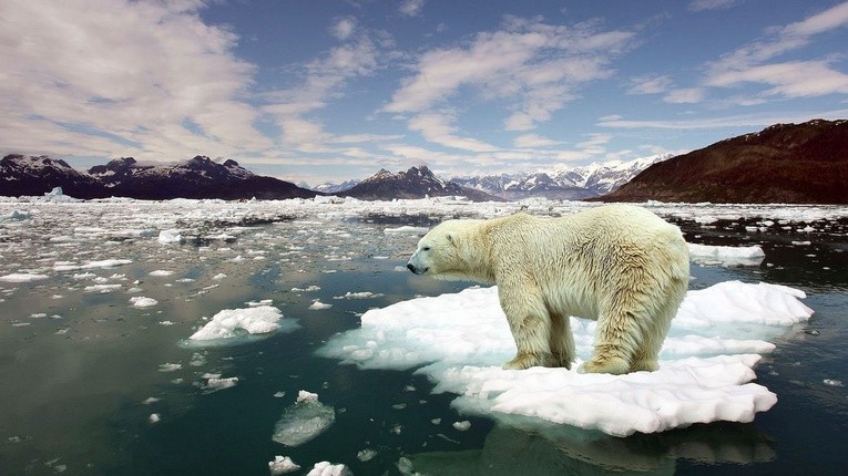 Trump zlikwiduje walkę z ociepleniem klimatu?