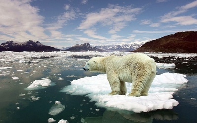 Trump zlikwiduje walkę z ociepleniem klimatu?