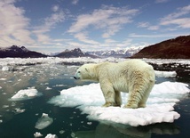 Trump zlikwiduje walkę z ociepleniem klimatu?