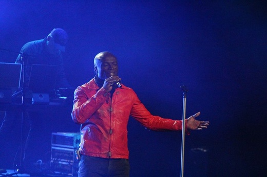 Seal w Lublinie