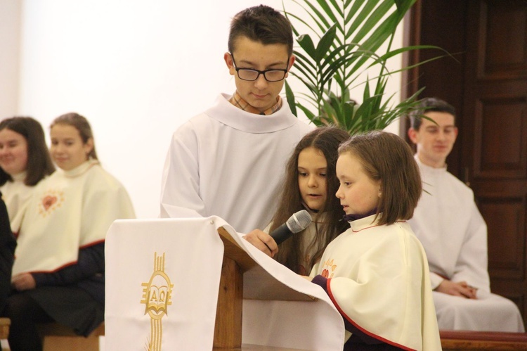 Zakończenie Roku Miłosierdzia w Świniarsku